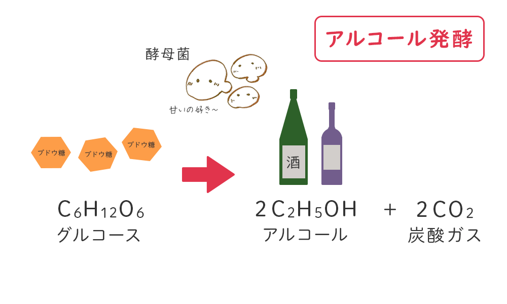 アルコール発酵（酵母菌によってグルコースがアルコールに変わる）の化学式