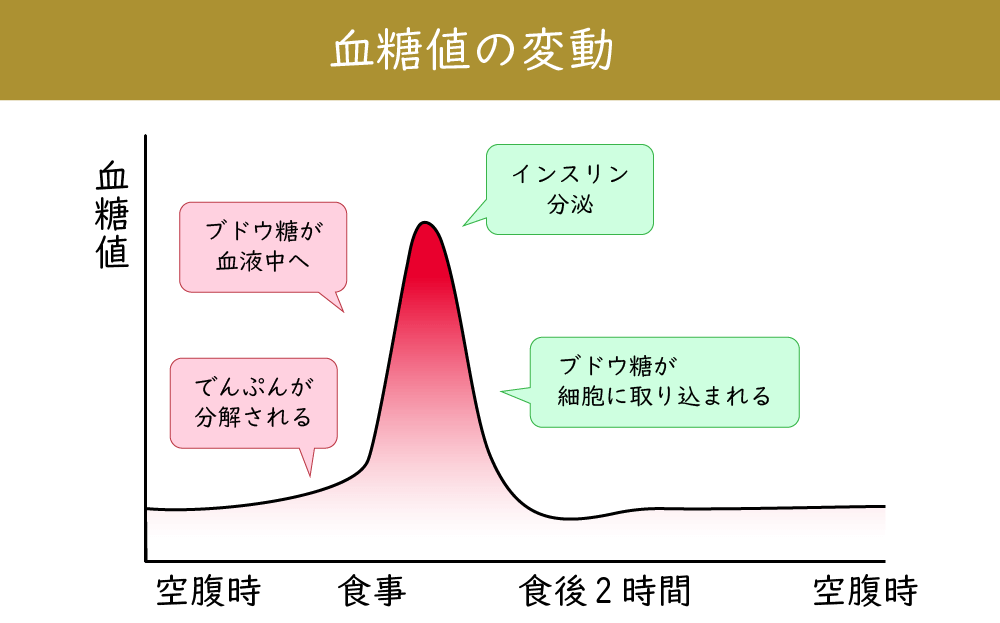 お酢と血糖値の関係・メカニズム - とば屋酢店公式ブログ