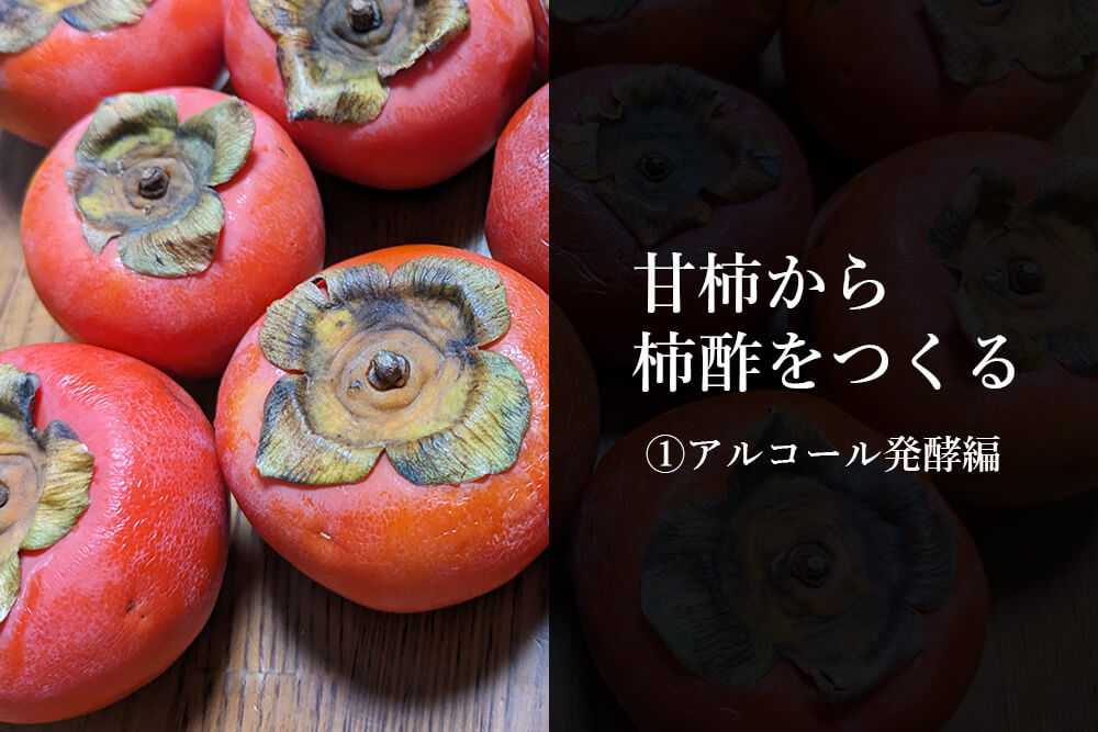 甘柿から柿酢をつくる①～アルコール発酵編