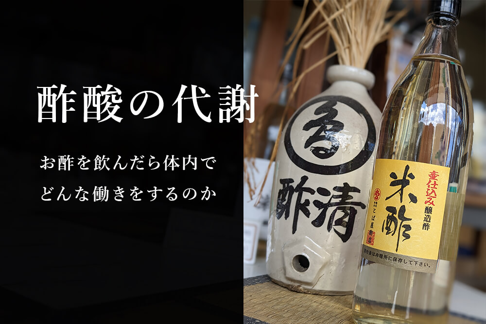 酢酸の代謝～お酢を飲んだら体内でどんな働きをするのか