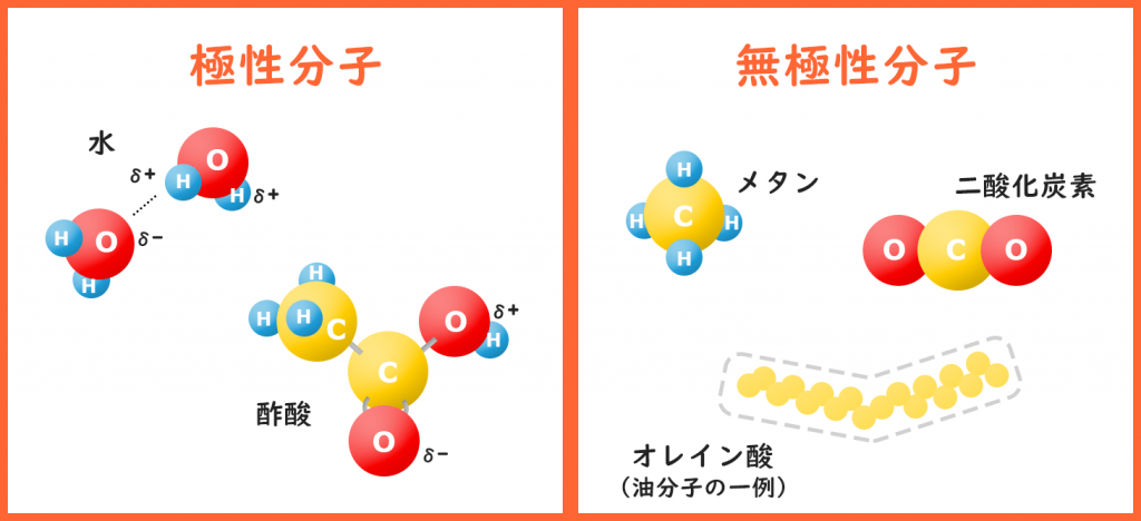 極性分子と無極性分子のモデル図