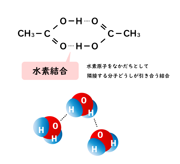 酢酸溶液中の水素結合