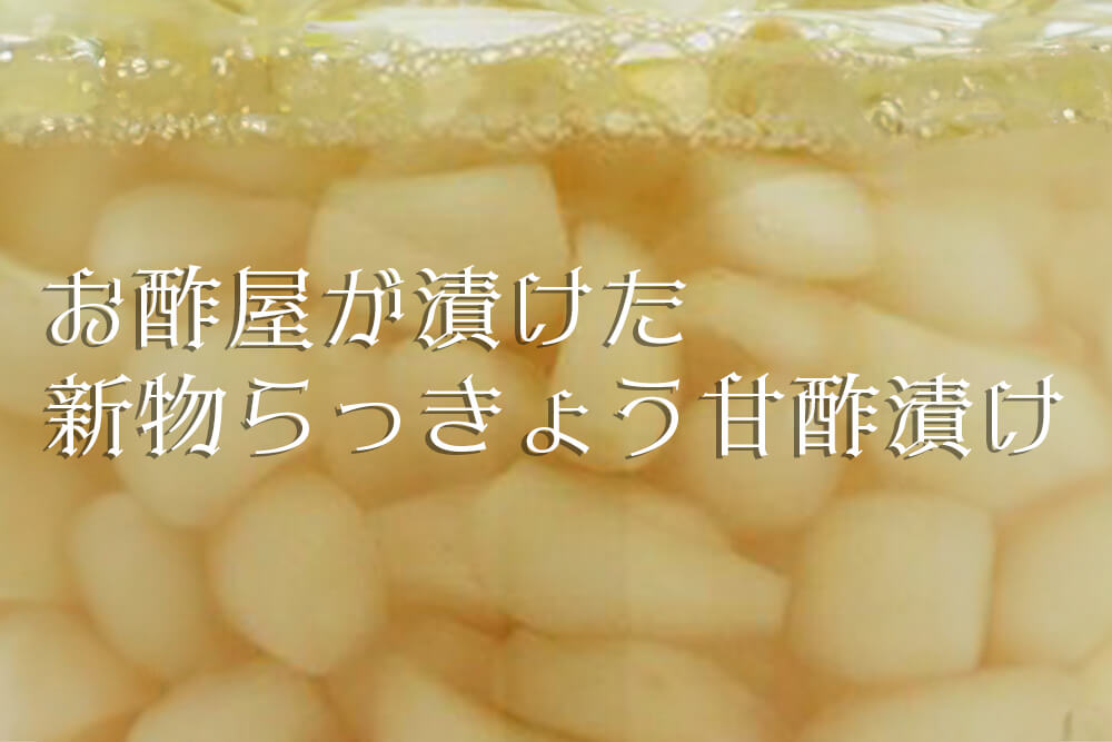 お酢屋が漬けた新物らっきょう甘酢漬け